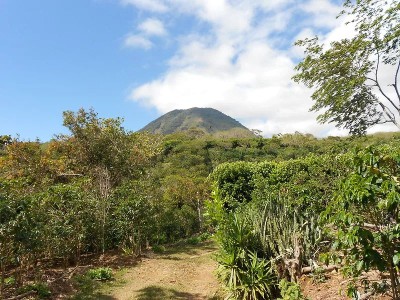 NOUVEAU CAFE DU MOMENT : EL SALVADOR APANECA ILAMATEPEC ATACO BIO