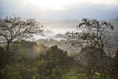 NOUVEAU CAFE DU MOMENT : RWANDA TABA BIO