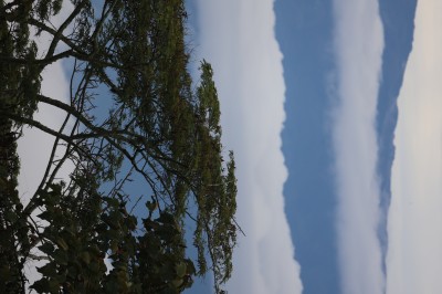 Nouveau Café d'Exception : Colombie La Pradera